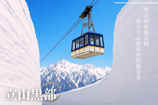 【早鳥優惠2000】立山黑部雪之大谷-雪壁漫步．足利紫藤花瀑．常陸粉蝶花海．富士芝櫻花毯．合掌村．兼六園．溫泉．東京6日