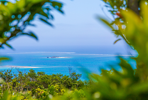 暢快沖繩行~名護鳳梨園.絕美瀨長島.海洋博水族館四日
