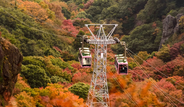 9 愛出國玩♯星宇四國道後溫泉５日．別子淘金樂.小豆島.寒霞溪纜車.松山城《台中出發.到府接送》