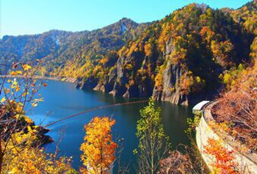 追楓早鳥省♯北海道大雪山黑岳纜車×洞爺湖花火節×三大蟹賞楓五日~北一硝子館‧白金青池‧富良野薰衣草‧札幌啤酒博物館‧昭和新山(亞航)