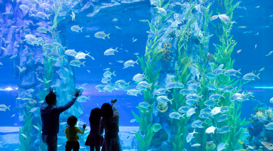 樂天世界水族館門票