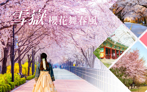 粉紅櫻花餘位搶♯韓國雪嶽櫻花舞春風５日〈無購物〉-雪嶽山、三岳山纜車、伊甸園櫻花路、江陵鏡浦臺、南怡島、絕美櫻花瀑布咖啡廳、無自理餐