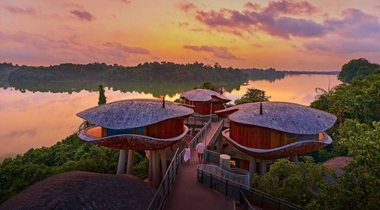 萬態雨林悅榕莊✈4天3夜