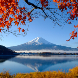 週七狂歡日♯【季節限定】【秋楓東京輕井澤５日】酷航、燒肉敘敘苑、高尾山纜車、河口湖楓葉[含稅簽]
