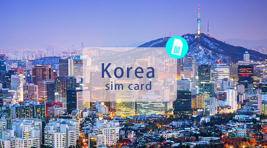 【韓國】實體上網卡。每日1GB或2GB高速