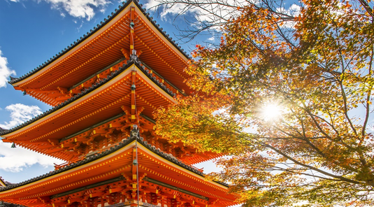 易遊×星宇關西5天．大阪環球影城．京都清水寺．金閣寺．嵐山渡月橋．千本鳥居．奈良梅花鹿．東大寺．神戶夜景