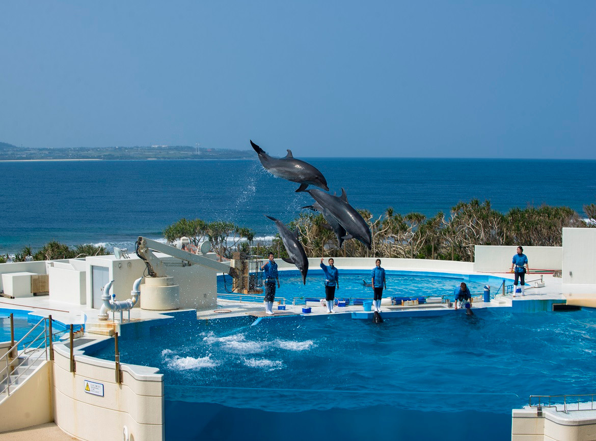 《每月一物》FUN遊沖繩四日～海洋博．古宇利大橋．美國村【中華航空】