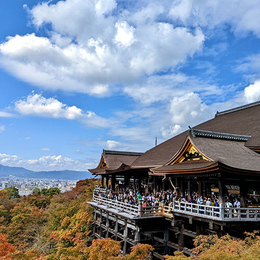 台北神戶 大阪三都巡禮+國產牛吃到飽+須磨海洋世界+清水寺+伏見稻荷+奈良鹿五日(長榮)