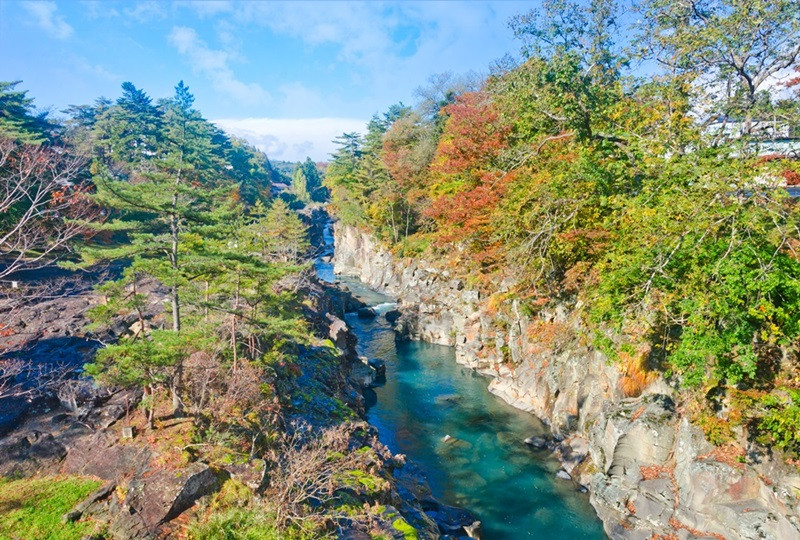 賞楓東北|奧入瀨溪.角館.十和田湖.八甲田山纜車.猊鼻溪遊船.秋田鐵道.抱返溪谷.採果溫泉五日【花仙/花花】