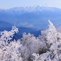 【四國冬限定】石鎚山霧冰戲雪趣．仁淀川屋形船．黑潮鐵道．炙燒鰹魚x夜來舞體驗．嗚子響板DIY．採草莓放題．升等雙溫泉5天