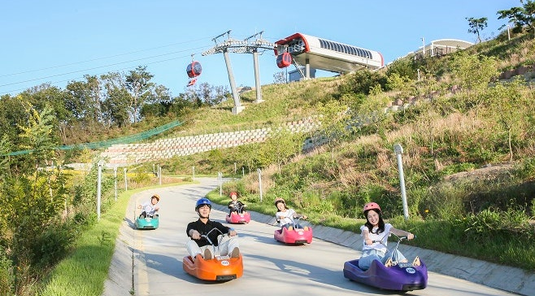 【歲末犒賞】真PLAY．首爾5天~江華LUGE渠道滑車、汗蒸幕(保肝/彩妝)★台中出發