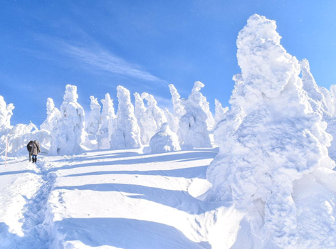 【東北冬限定】森吉山樹冰.秋田內陸+津輕暖爐列車雙鐵道.銀山溫泉.猊鼻溪雪見舟.採草莓.螃蟹燒肉吃到飽.名湯雙溫泉 5天