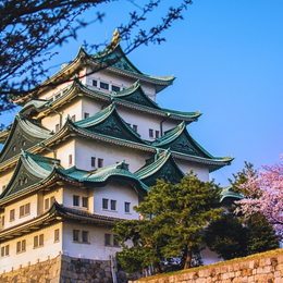 輕旅九州福岡4天3夜~古都遊船x湯布院花卉村x熊本城x溫泉四日(星宇)台中出發