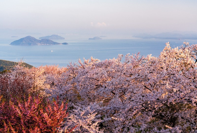 金蛇迎新春～冬北雪の故鄉－東北藏王樹冰鐵道秘境溫泉四日(虎航)