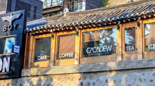 愛寶樂園暢遊.COEX星空圖書館.滑雪體驗5天
