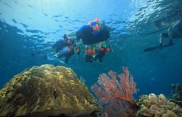 巴厘島潛水體驗（Dune Atlantis提供）