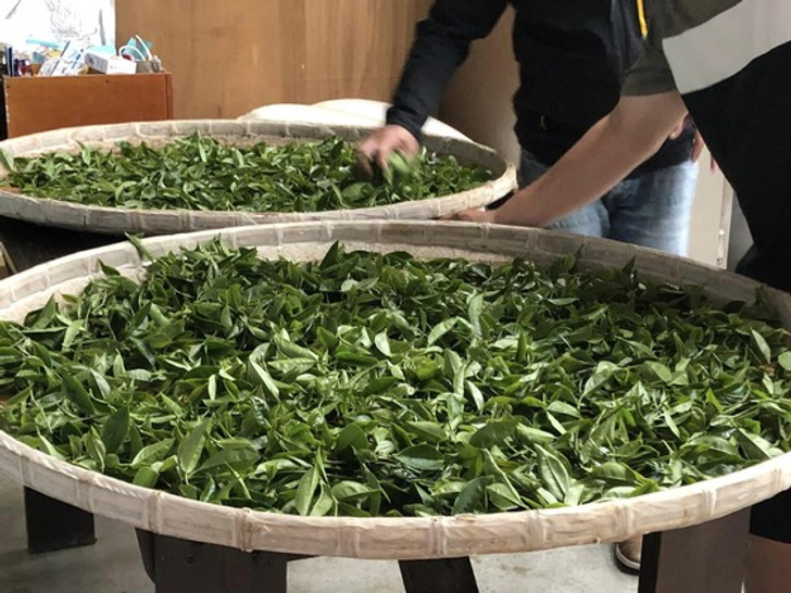 景點照片