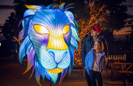 雪梨動物園Glow夜間燈光節門票