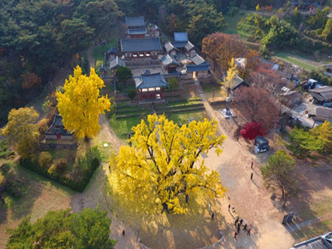 追楓早鳥省♯【釜山楓情五日 不進人蔘+保肝店】八公山公園纜車 LUGE麗水渠道滑車 順天灣空中單軌列車 海岸列車 長腳蟹吃到飽