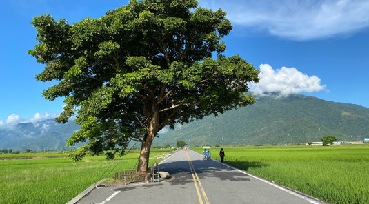 【台東】包車一日.半日遊