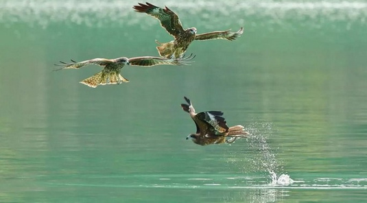 台南關子嶺暖湯+飛鷹峽谷~山豬島遊湖3天