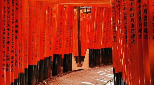 奈良小鹿.伏見稻荷.京都古寺一日遊