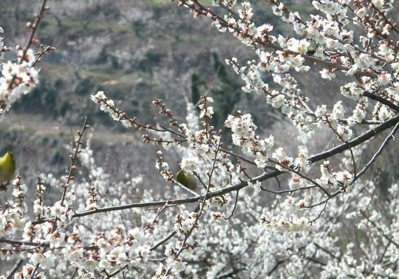 宮之松 金色夜叉銅像旅遊指南 熱門景點資訊 交通地圖 Eztravel易遊網