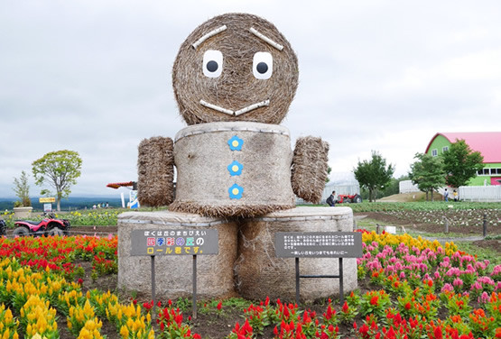 北海道超值限定團~富田農場.四季拼布.三大蟹五日(函/旭)
