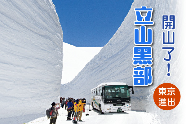 浪漫花戀黑部立山雪牆5日 | 立山黑部雪牆、足利紫藤物語、富士芝櫻、藍色粉蝶花海、仙境上高地、東方小瑞士輕井澤、童話合掌村