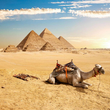 晚鳥限時搶♯【季節限定】【阿布辛貝．迷情埃及１１日】金字塔群、尼羅河巡航、大埃及博物館、紅海、五星萬麗中餐[含稅簽]