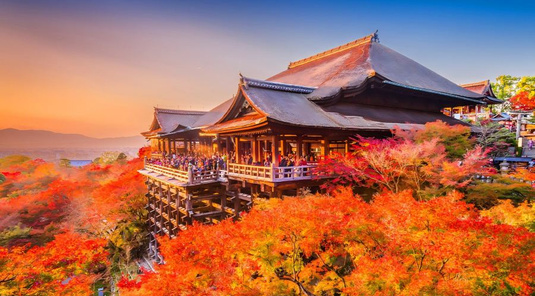 【限量優惠】京都伏見稻荷大社.奈良餵鹿一日遊