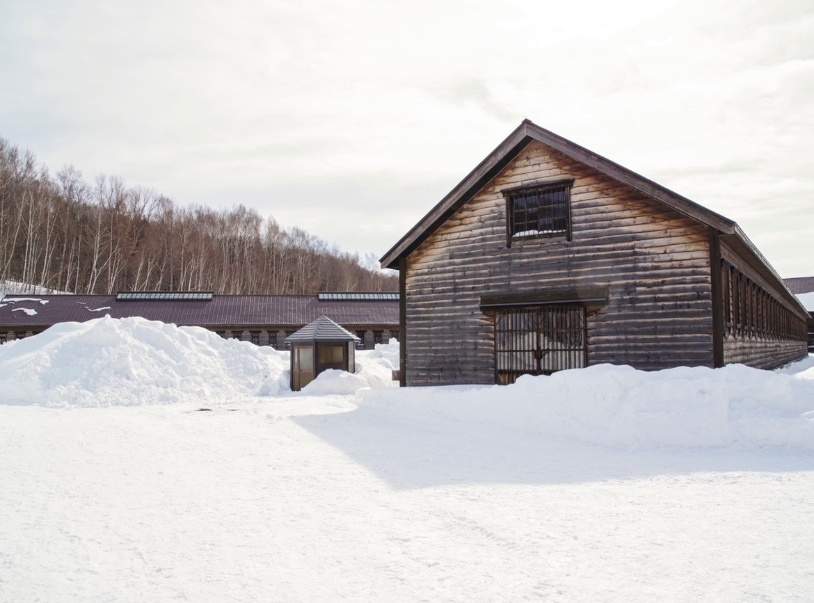 精緻假期~北海道破冰船~札幌雪祭~層雲峽冰瀑祭.北方雪上樂園玩雪三合一.男山造酒廠.白色戀人公園+三大蟹吃到飽五日