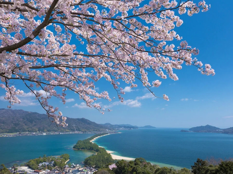 預約粉紅櫻花海♯【櫻花秘境海京都５日】日本環球影城、伊根舟屋、天橋立、哲學之道、嵐山渡月橋、龍蝦和牛[含稅]