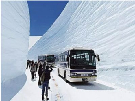 長榮航空【立山黑部雪牆~粉蝶紫藤芝櫻賞花6日】世界文化遺產白川鄉合掌村 神之故鄉上高地 輕井澤 海濱公園粉蝶花 足利花卉公園紫藤花 富士芝櫻