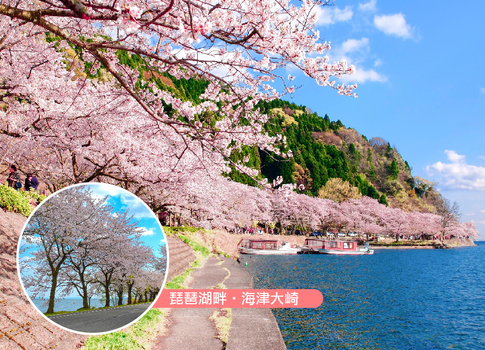 跟團即食行樂♯星櫻戀美的傳說關西5日.福井萬怡.三方五湖.足羽川櫻花大道.東寺夜櫻.海津大崎.近江牛螃蟹敘敘苑燒肉(星宇/華航)