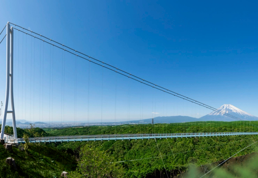 寒假早鳥GO♯東京伊豆泡湯浪漫5天~三島天空步道、MOA美術館、大室山纜車、伊豆仙人掌動物公園