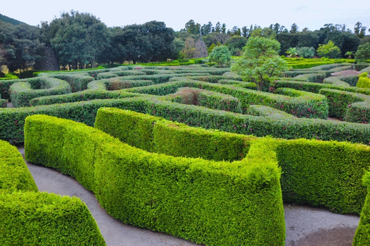 易起FUN寒假♯<升等版>繽紛濟州美食饗宴6天(不走人蔘保肝)~迷宮樂園、泰迪熊野生動物王國、英式小火車、韓式飯捲DIY【高雄德威】