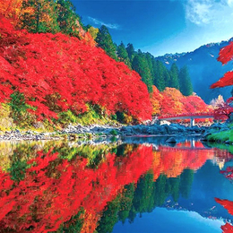 【北陸楓限定】紅葉香嵐溪．立山黑部．秘境上高地．雨晴海岸．童話合掌村．天空之城．飛驒古街．熱田神宮．溫泉饗宴 5天