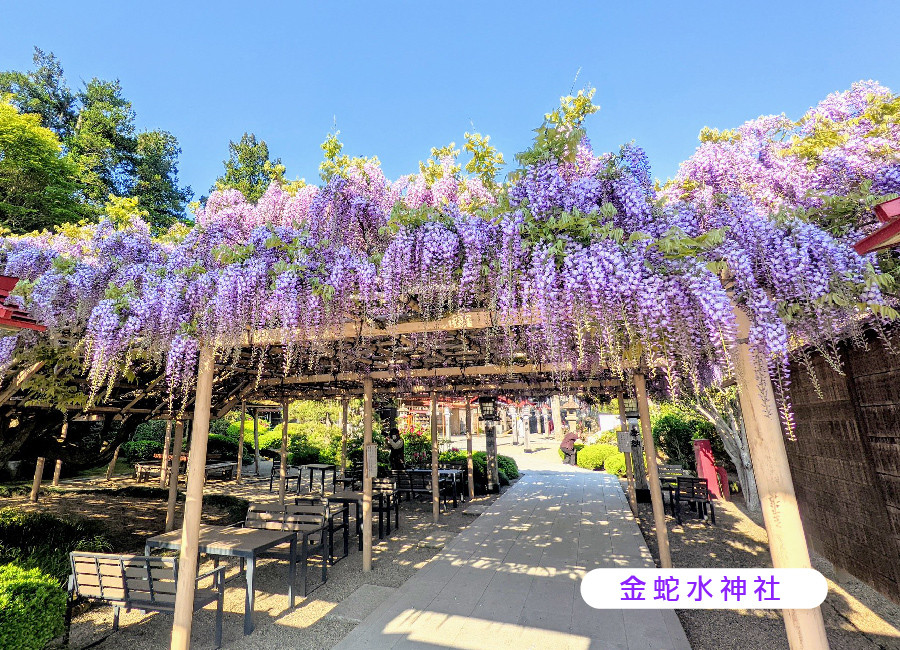 限時限量東北雙溫泉5日.銀山秘境.藏王御釜天空步道.嚴美溪.松島遊船.烤魚板體驗.牛舌螃蟹美食(仙台進花卷出)