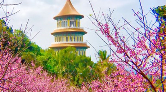 台東海岸縱谷+花蓮輕鬆選+台北走春去4天