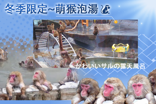 寒假獨家限時省♯長榮雪舞紛飛北海道.企鵝漫步.萌猴泡湯.親親草尼馬.熊出沒.鑽石夜景.戲雪.溫泉五日