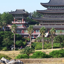 易起揪團♯【易遊嚴選】新繽紛濟州~迷宮樂園、泰迪熊野生動物王國、可口可樂觀海咖啡廳(含飲料)、韓式飯捲DIY+傳統韓服體驗6天(高雄出發)