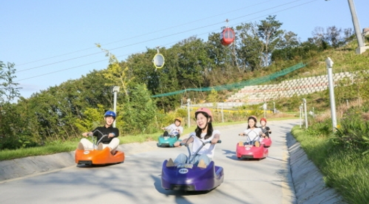 【易遊嚴選】真Chill首爾5天~圍棋公園、LUGE斜坡滑車(一站彩妝)(台中出發)