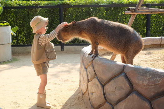 易起FUN寒假♯【熱銷強檔】泰享趣夜遊湄南河豪華龍蝦宴6日