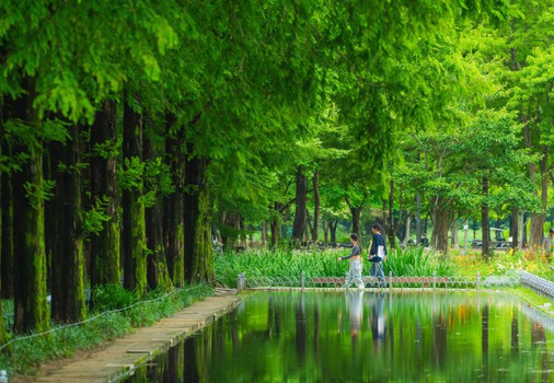 韓國首爾四季靚漾５天~首爾大公園、聖水洞、首爾林、延南洞、塗鴉秀