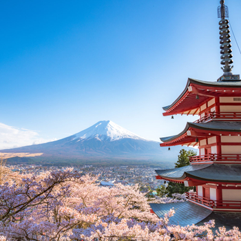 新春開運送紅包♯【季節限定】【東京櫻花迪士尼５日】歡樂迪士尼、敘敘苑燒肉、橫濱百選櫻花、箱根富士遊船、螃蟹溫泉[含稅簽]