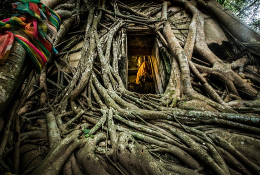 低價來襲♯省遊饗愛帝王蟹泰國│帝王蟹無限放題,曼谷網評五星乙晚,燈光藝術博物館x熱氣球花園,歐風漁人碼頭,四面佛,暹邏時尚商圈五日