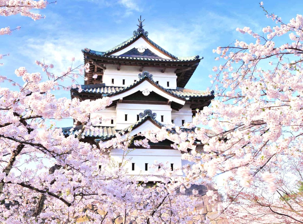【東北星花開】弘前櫻吹雪.津輕櫻花鐵道.十和田官廳.銀山溫泉.北上展勝地.螃蟹吃到飽.名湯三溫泉 5天