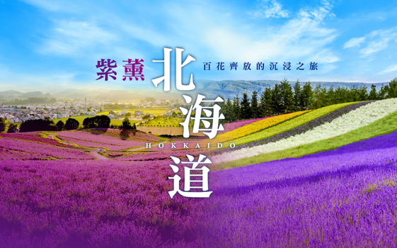 紫薰北海道5日-星空纜車、函館百萬夜景、紫彩美瑛、富良野花田、四季彩之丘、花田列車、螃蟹懷石料理