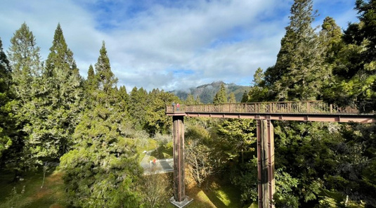 阿里山森林鐵路+高雄海洋城自在遊3天